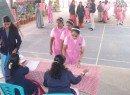 IMG_4325-Copy